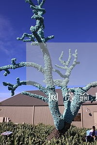 网贷逾期寄催收函去村委 网贷逾期寄催收函去村委