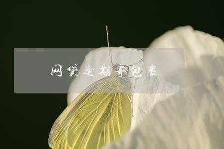 网贷逾期寄包裹 网贷逾期寄包裹