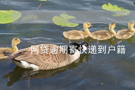 网贷逾期寄快递到户籍 网贷逾期寄快递到户籍