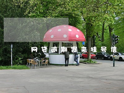 网贷逾期寄来挂号信 网贷逾期寄来挂号信