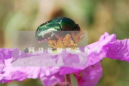 网贷逾期寄法务函 网贷逾期寄法务函
