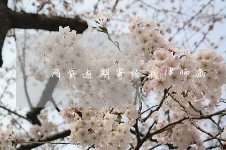 网贷逾期寄给我律师函 网贷逾期寄给我律师函