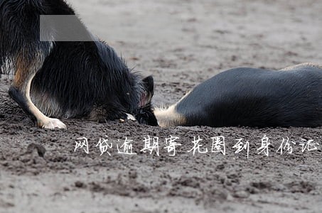 网贷逾期寄花圈到身份证地址 网贷逾期寄花圈到身份证地址