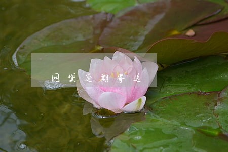 网贷逾期寄送 网贷逾期寄送