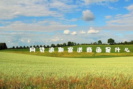 网贷逾期寄送商函是什么 网贷逾期寄送商函是什么
