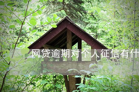 网贷逾期对个人征信有什么影响 网贷逾期对个人征信有什么影响