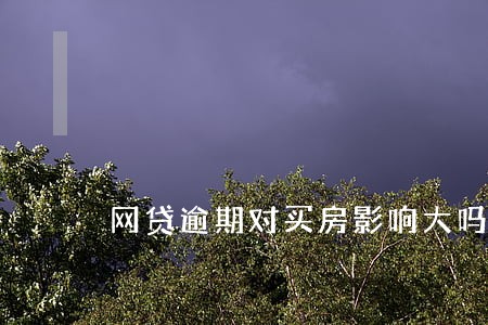 网贷逾期对买房影响大吗 网贷逾期对买房影响大吗