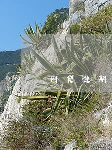 网贷逾期对买汽车票有没有影响 网贷逾期对买汽车票有没有影响