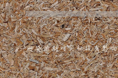 网贷逾期对买社保有影响吗 网贷逾期对买社保有影响吗