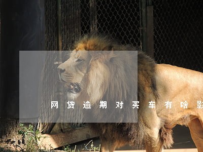 网贷逾期对买车有啥影响 网贷逾期对买车有啥影响