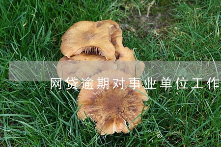 网贷逾期对事业单位工作有影响吗 网贷逾期对事业单位工作有影响吗