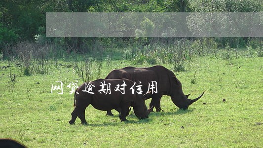网贷逾期对信用 网贷逾期对信用