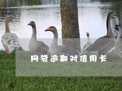 网贷逾期对信用卡 网贷逾期对信用卡