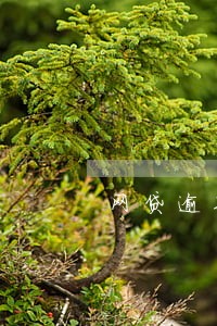 网贷逾期对信用卡有 网贷逾期对信用卡有