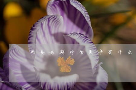 网贷逾期对信用卡有什么影响 网贷逾期对信用卡有什么影响