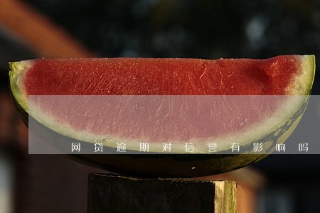 网贷逾期对信誉有影响吗 网贷逾期对信誉有影响吗