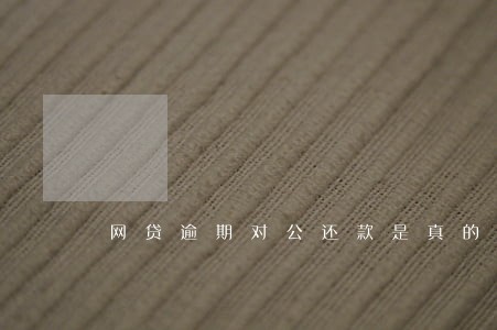 网贷逾期对公还款是真的假的 网贷逾期对公还款是真的假的