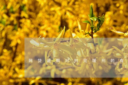 网贷逾期对判完缓刑的有影响吗 网贷逾期对判完缓刑的有影响吗