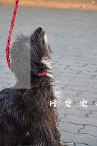 网贷逾期对别人有影响吗 网贷逾期对别人有影响吗