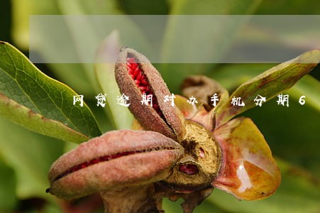 网贷逾期对办手机分期6 网贷逾期对办手机分期6