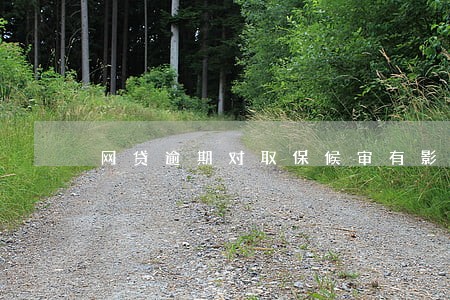 网贷逾期对取保候审有影响吗 网贷逾期对取保候审有影响吗
