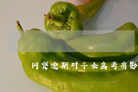 网贷逾期对子女高考有影响吗 网贷逾期对子女高考有影响吗