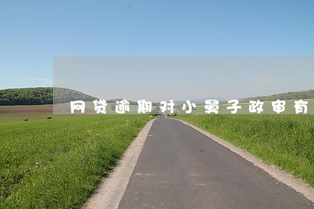 网贷逾期对小舅子政审有影响吗