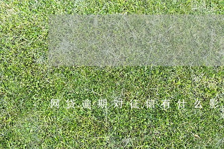 网贷逾期对征信有什么影响吗 网贷逾期对征信有什么影响吗