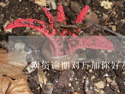 网贷逾期对方加你好友同意不 网贷逾期对方加你好友同意不