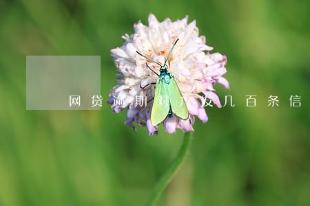 网贷逾期对方发几百条信息过去 网贷逾期对方发几百条信息过去