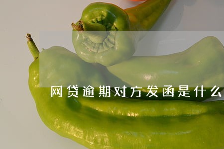 网贷逾期对方发函是什么函件 网贷逾期对方发函是什么函件