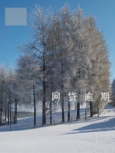 网贷逾期对方有权联系居委会吗 网贷逾期对方有权联系居委会吗