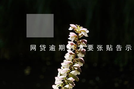 网贷逾期对方要张贴告示 网贷逾期对方要张贴告示