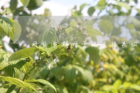 网贷逾期对方说直接来公司 网贷逾期对方说直接来公司