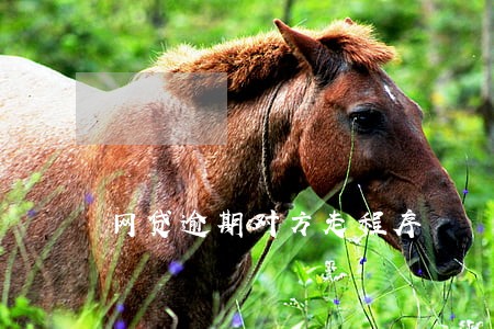 网贷逾期对方走程序 网贷逾期对方走程序