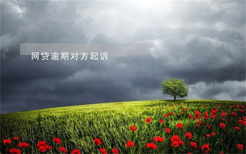 网贷逾期对方起诉 网贷逾期对方起诉