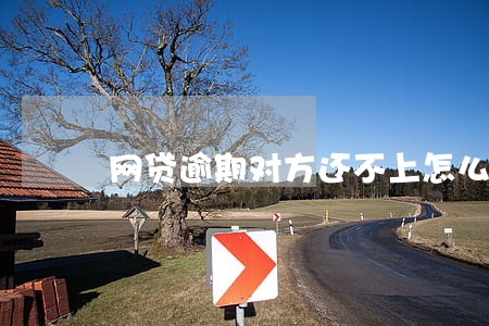 网贷逾期对方还不上怎么办 网贷逾期对方还不上怎么办
