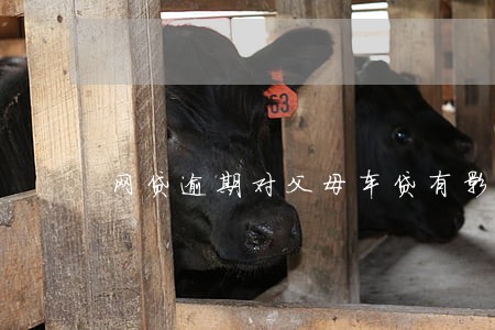 网贷逾期对父母车贷有影响吗 网贷逾期对父母车贷有影响吗
