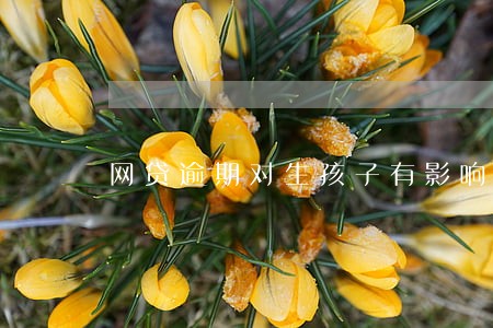 网贷逾期对生孩子有影响吗 网贷逾期对生孩子有影响吗