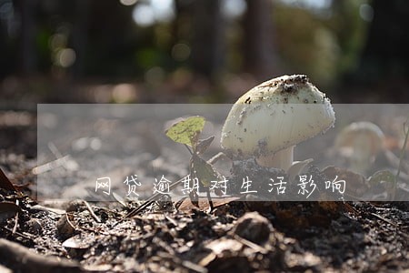 网贷逾期对生活影响