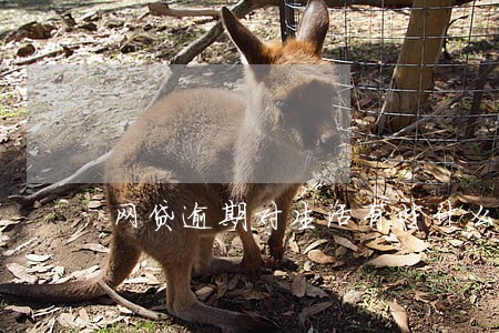 网贷逾期对生活有些什么影响 网贷逾期对生活有些什么影响