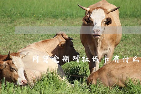 网贷逾期对社保卡有什么影响 网贷逾期对社保卡有什么影响