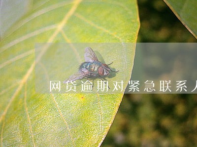 网贷逾期对紧急联系人 网贷逾期对紧急联系人
