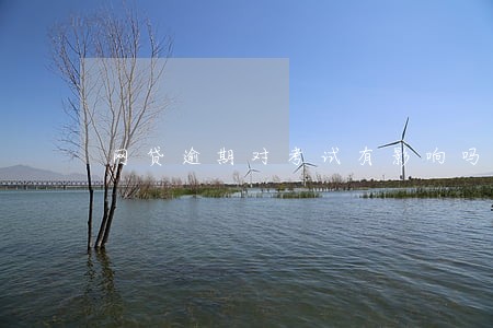 网贷逾期对考试有影响吗