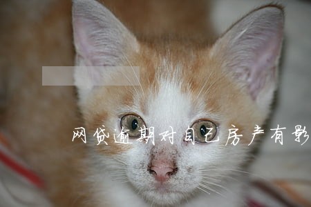 网贷逾期对自己房产有影响吗
