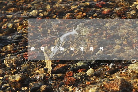 网贷逾期对芝麻分