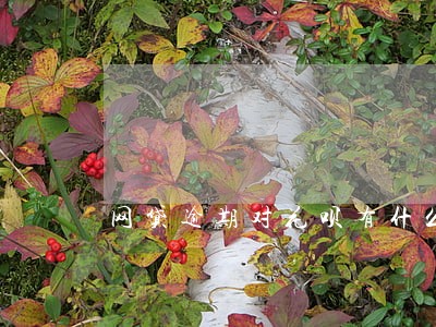 网贷逾期对花呗有什么 网贷逾期对花呗有什么