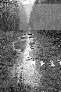 网贷逾期对贷款有影响吗 网贷逾期对贷款有影响吗