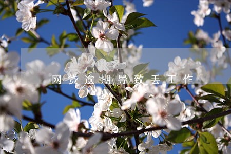网贷逾期导致丢工作 网贷逾期导致丢工作