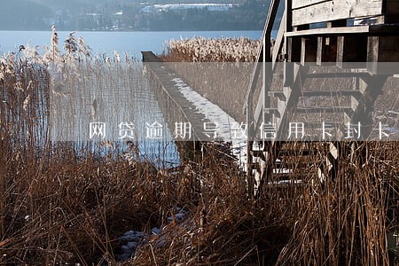网贷逾期导致信用卡封卡怎么办 网贷逾期导致信用卡封卡怎么办